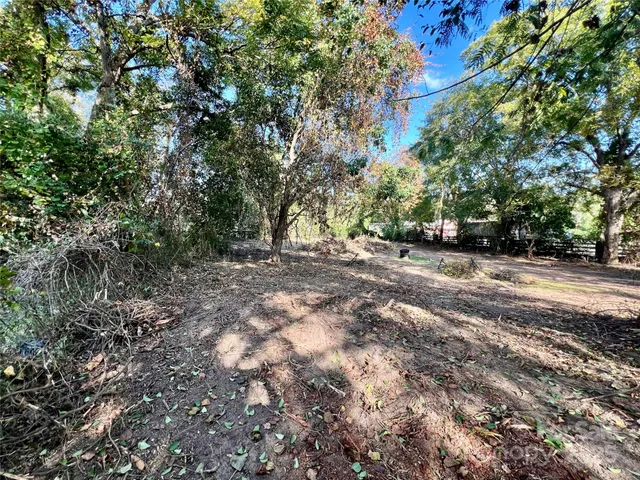 a view of dirt yard with a large tree