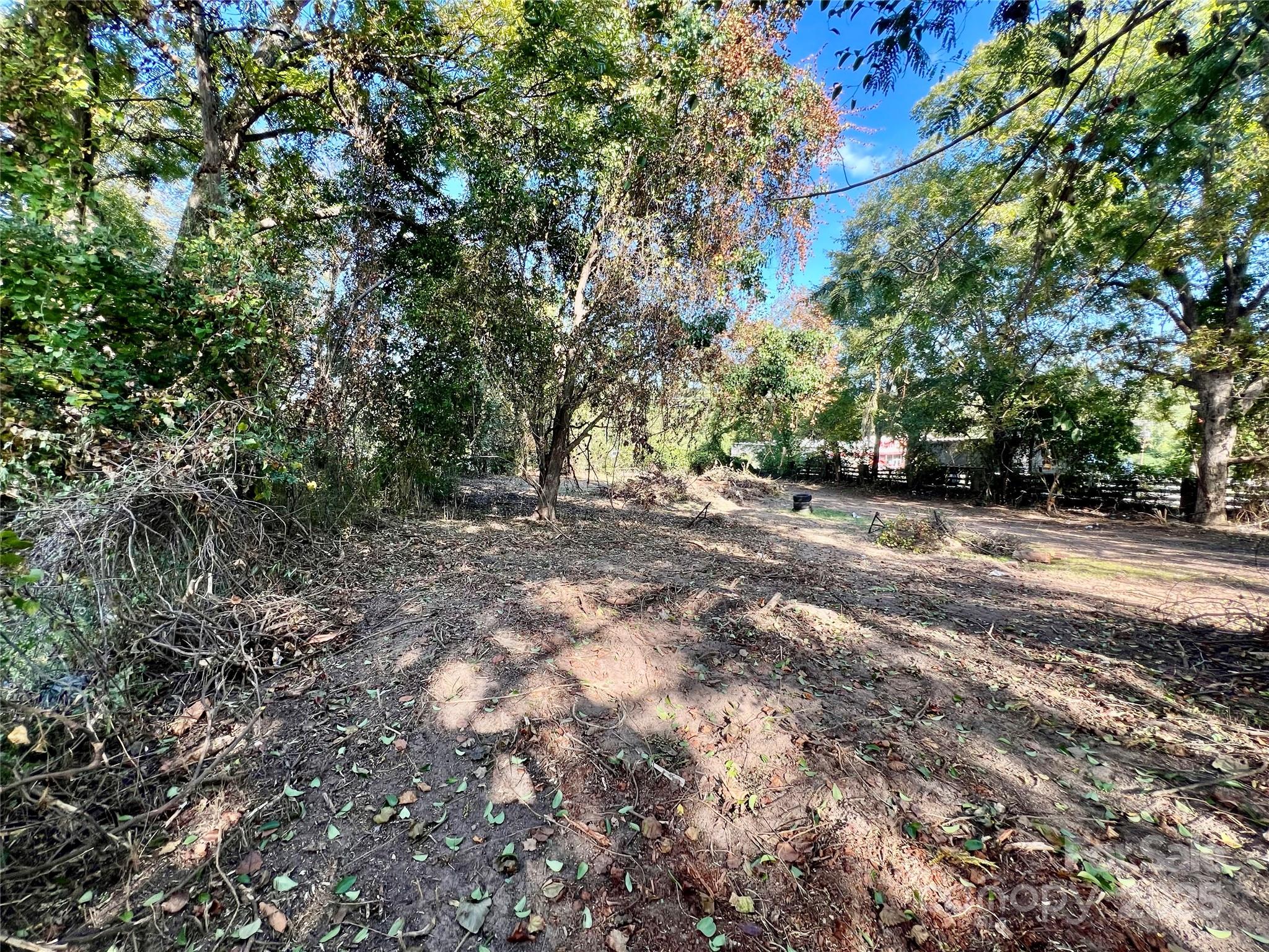 407 Chester Avenue Great Falls, SC 29055 - Photo 33 of 42 a view of dirt yard with a large tree