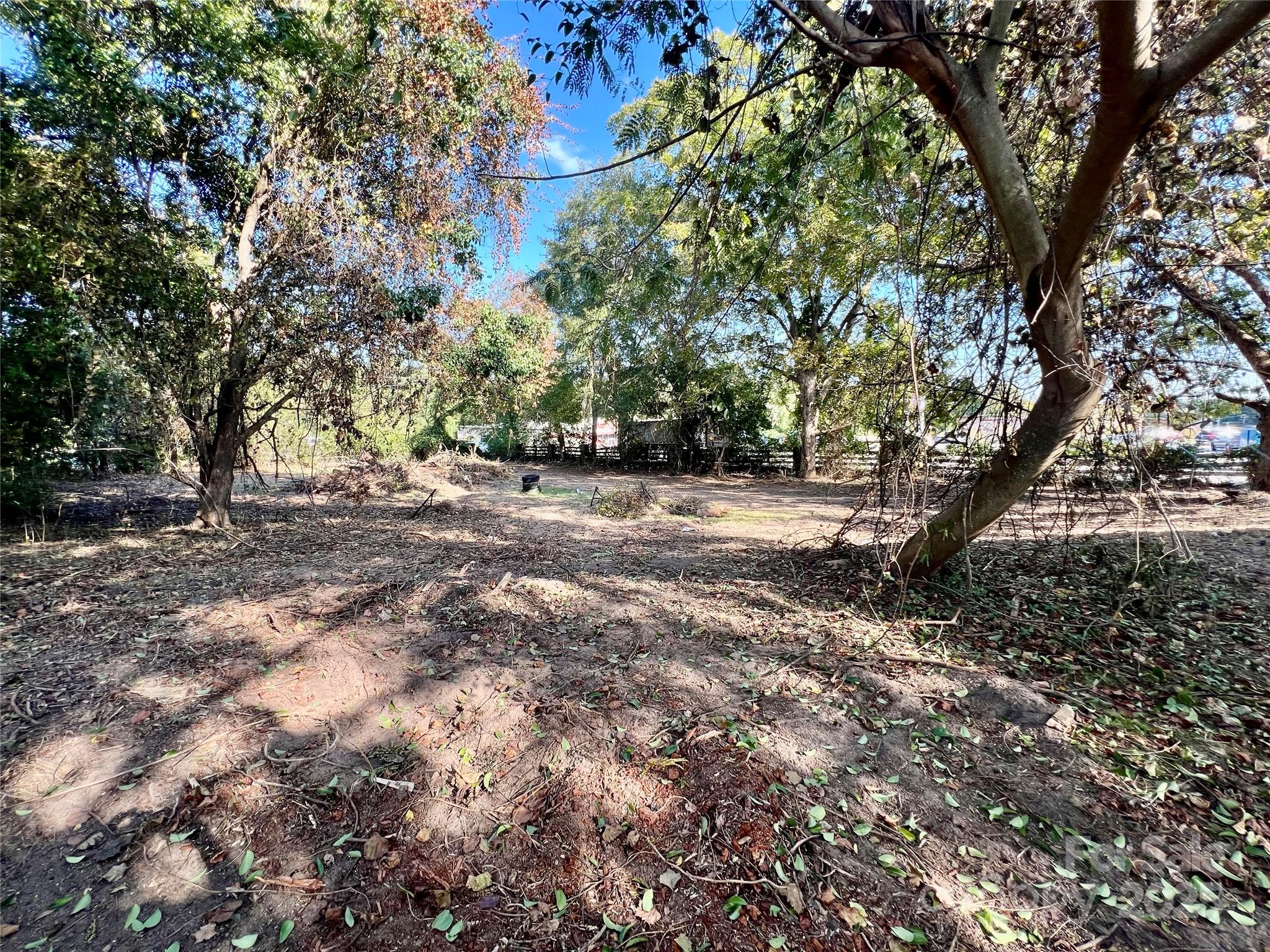 407 Chester Avenue Great Falls, SC 29055 - Photo 35 of 42 a view of dirt yard with large trees