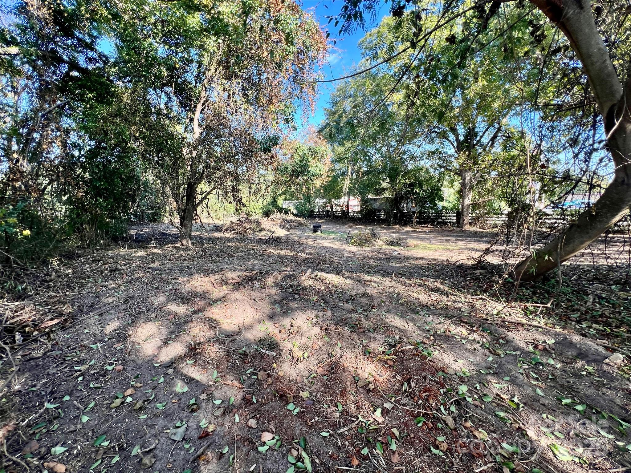 407 Chester Avenue Great Falls, SC 29055 - Photo 36 of 42 a view of a yard with large trees
