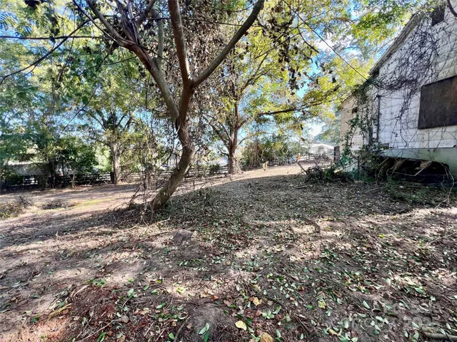 a view of backyard with large trees