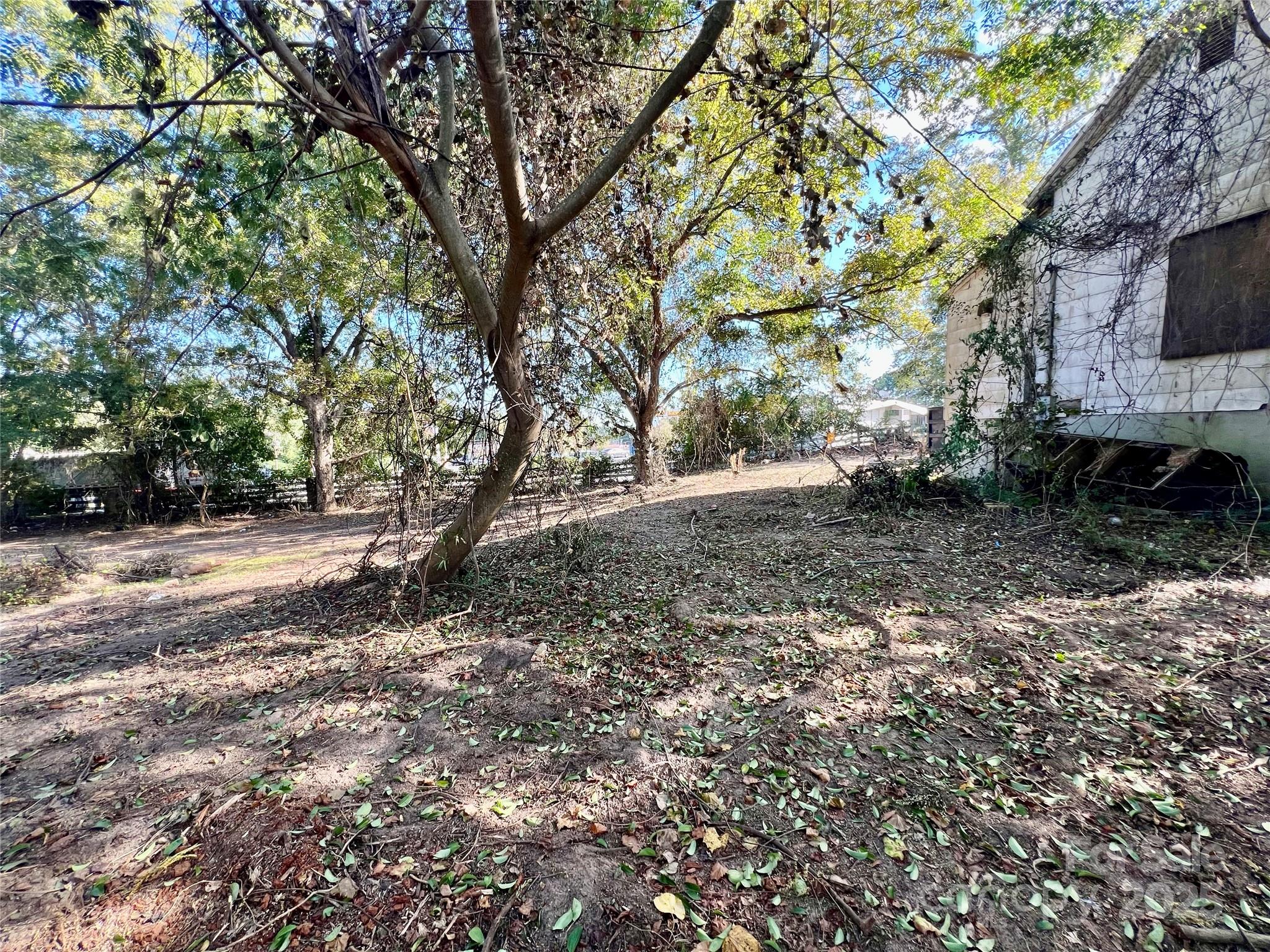 407 Chester Avenue Great Falls, SC 29055 - Photo 37 of 42 a view of backyard with large trees