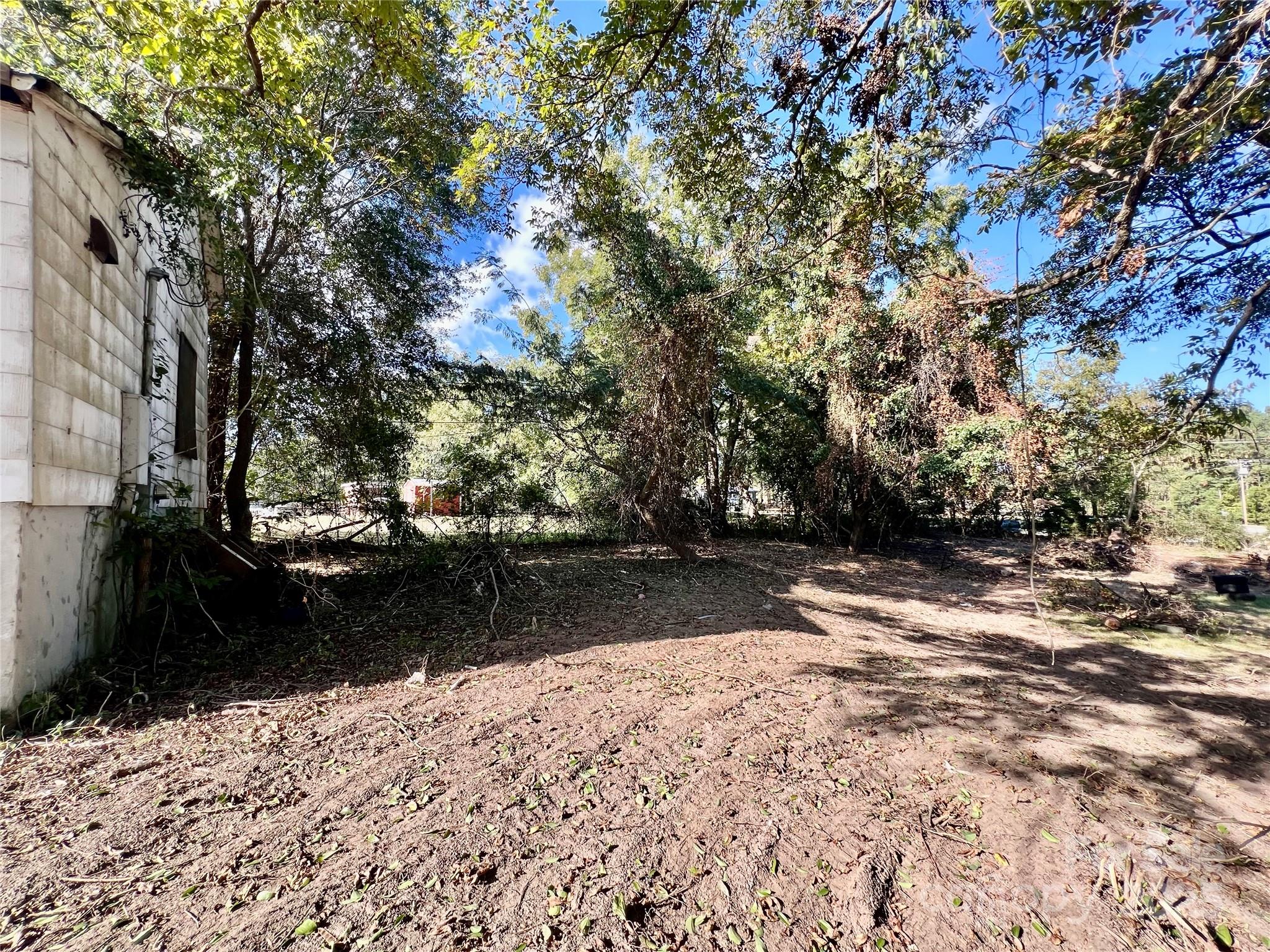 407 Chester Avenue Great Falls, SC 29055 - Photo 40 of 42 a view of yard with trees