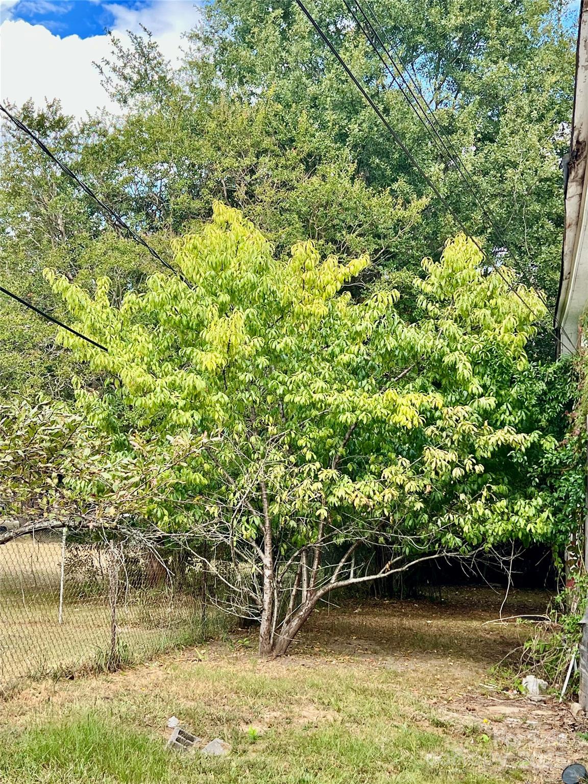 407 Chester Avenue Great Falls, SC 29055 - Photo 41 of 42 a view of a lake view