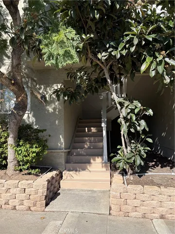 a view of a yard with plants