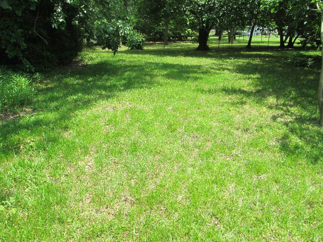 11331 Red Bud Road Castalia, NC 27816 - Photo 1 of 1 Primary Photo