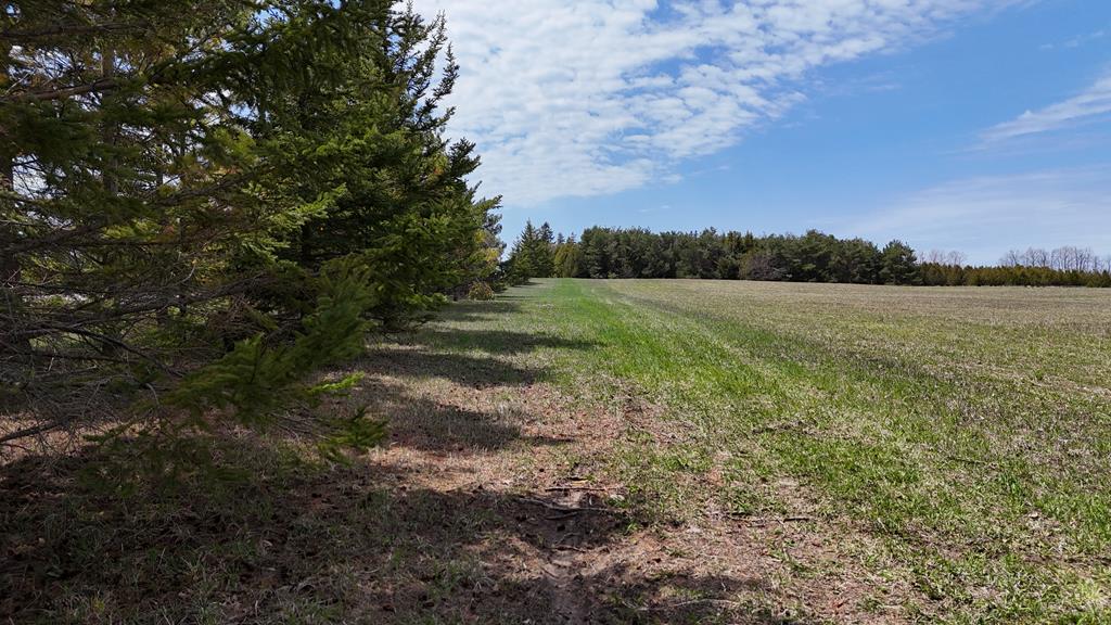 S Lot South Lot County Road Sister Bay, WI 54234 - Photo 10 of 13