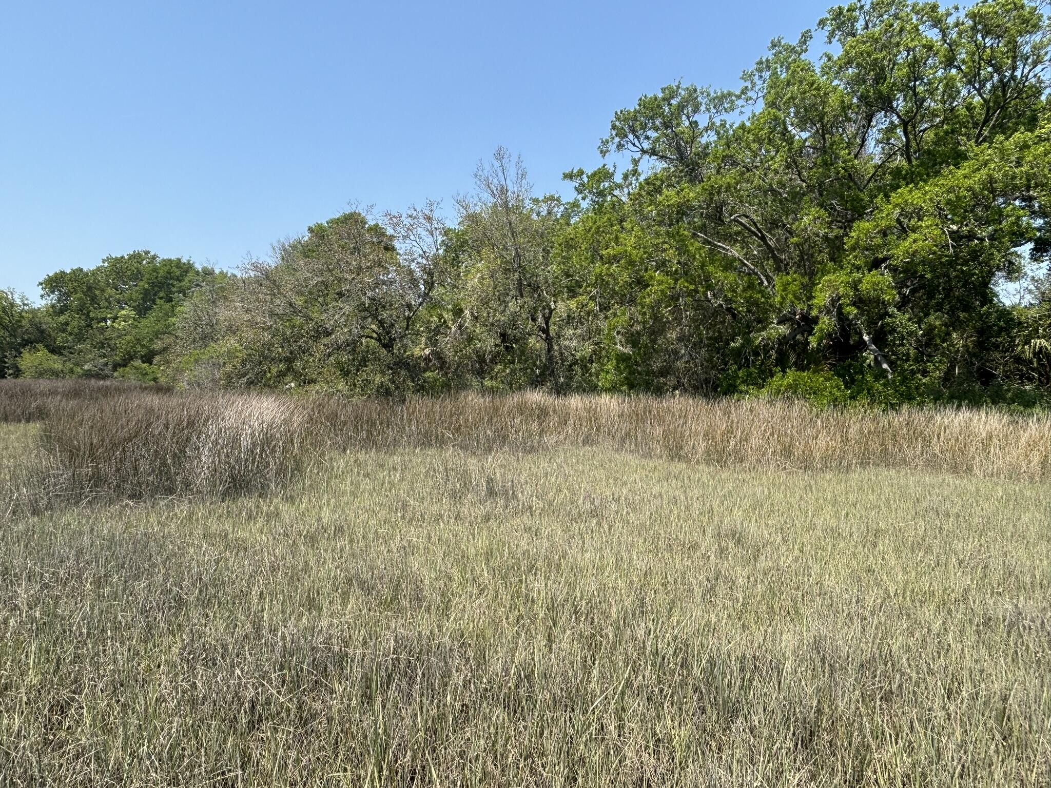 2035 Sol Legare Road Charleston, SC 29412 - Photo 26 of 26 IMG_2313