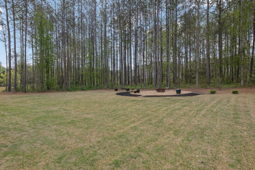 249 Bellview Chase Monroe, GA 30655 - Photo 6 of 45