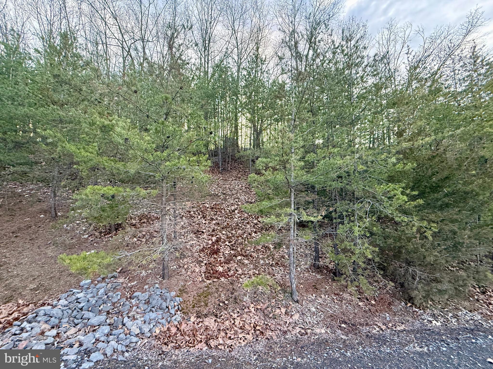Quivey's Lookout Point Romney, WV 26757 - Photo 11 of 40 a view of a forest with trees in the background