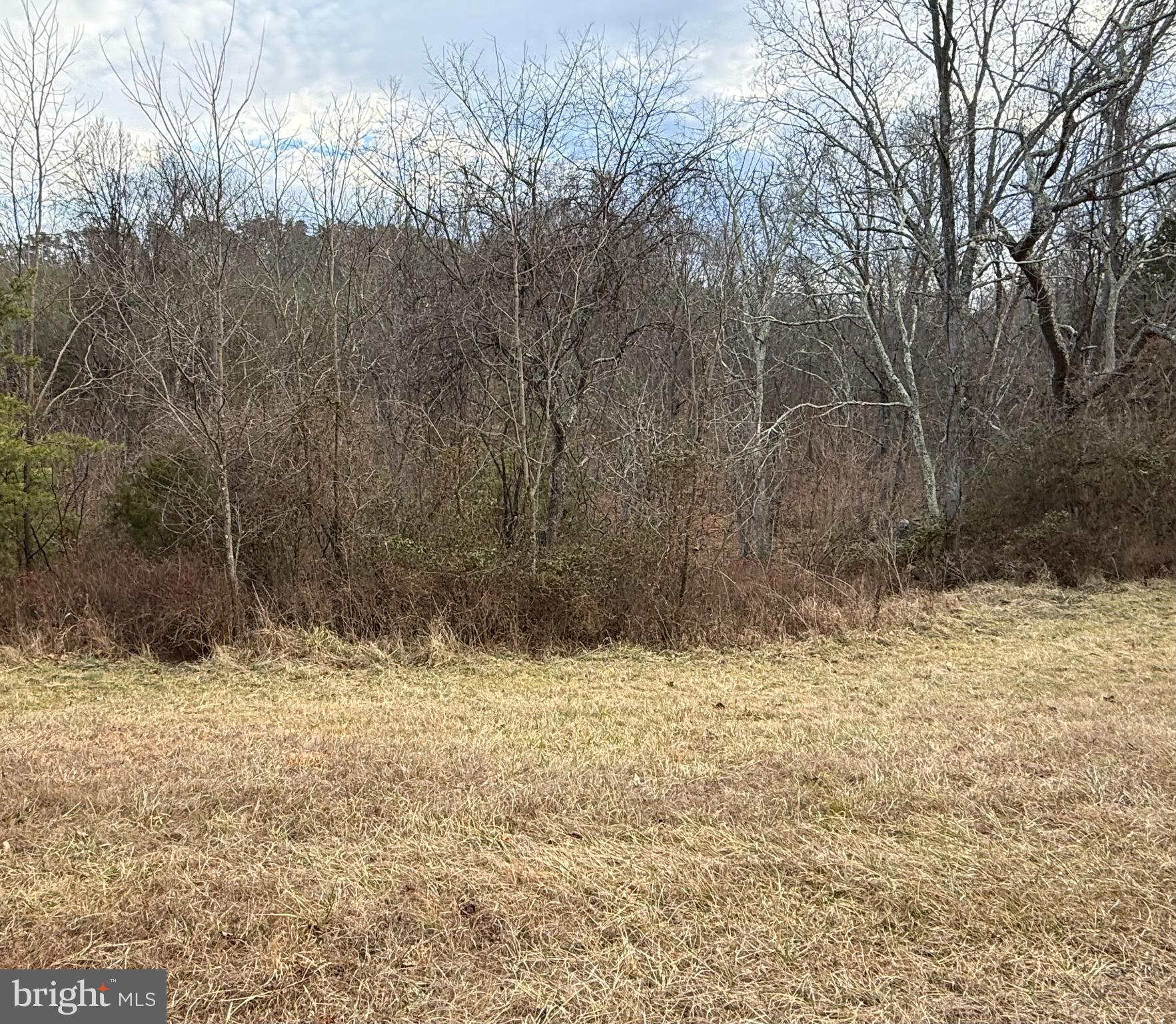 Quivey's Lookout Point Romney, WV 26757 - Photo 14 of 40 a view of a yard covered in snow