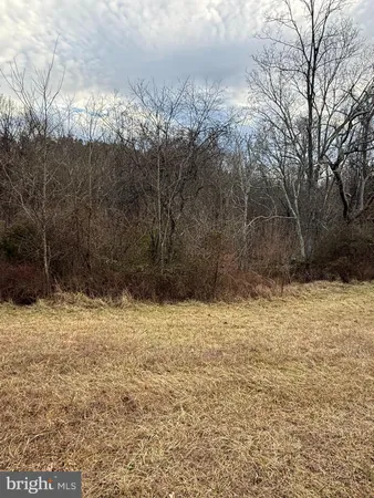a view of a backyard of the house