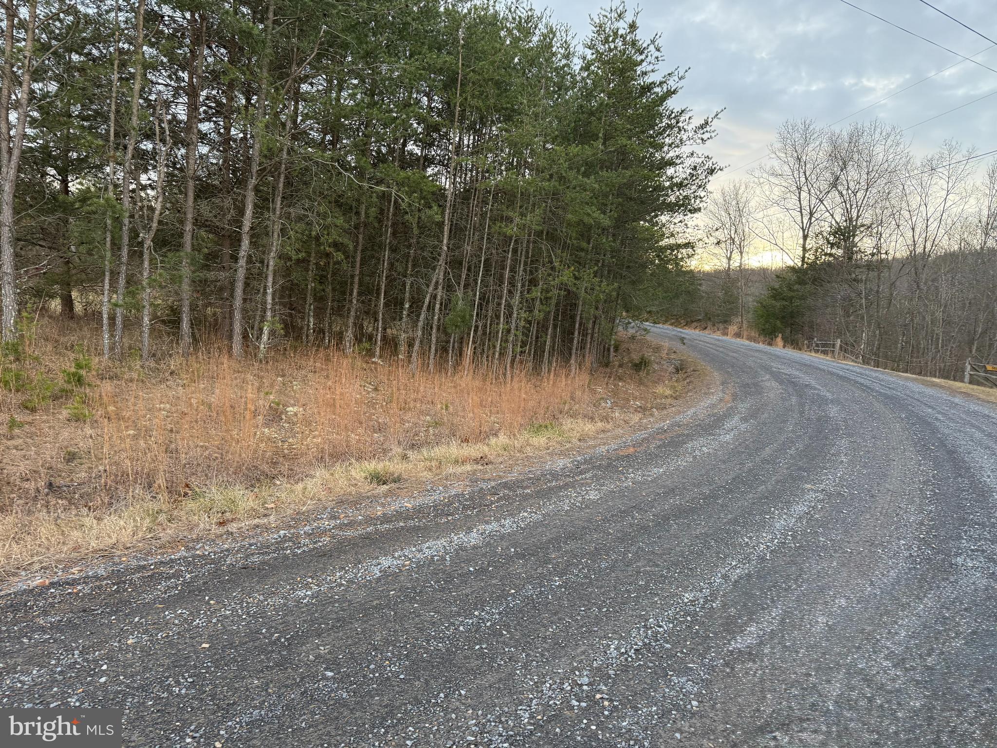 Quivey's Lookout Point Romney, WV 26757 - Photo 20 of 40 a view of a backyard