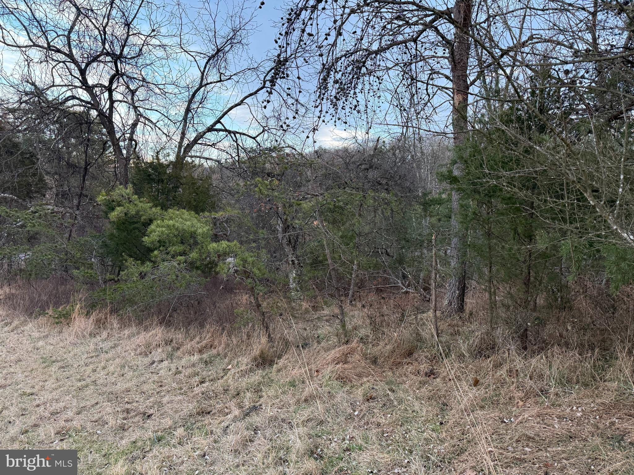 Quivey's Lookout Point Romney, WV 26757 - Photo 23 of 40 a view of a forest with trees in the background