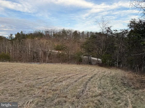 a view of a rural road with plants