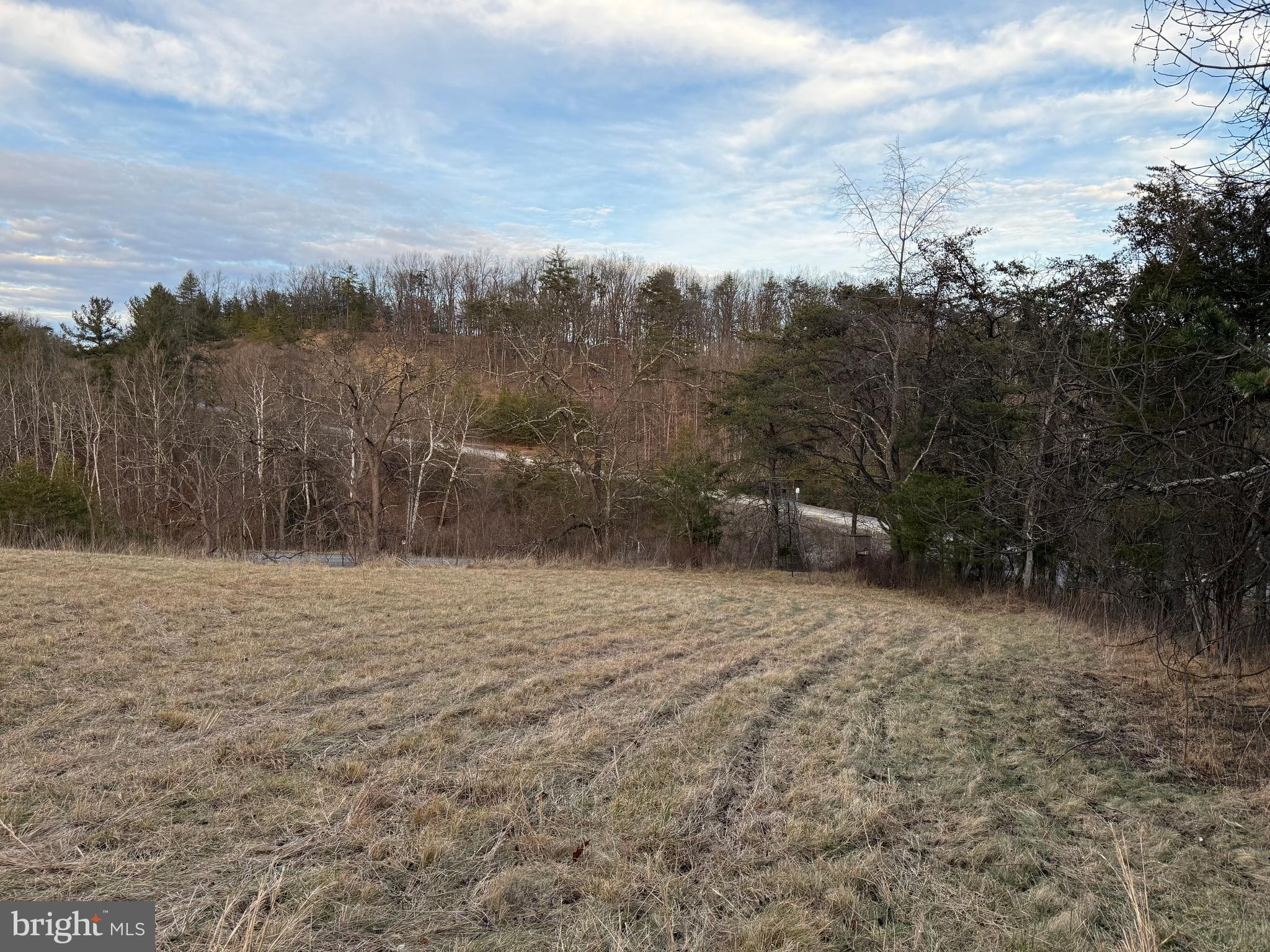 Quivey's Lookout Point Romney, WV 26757 - Photo 25 of 40 a view of outdoor space with mountain view