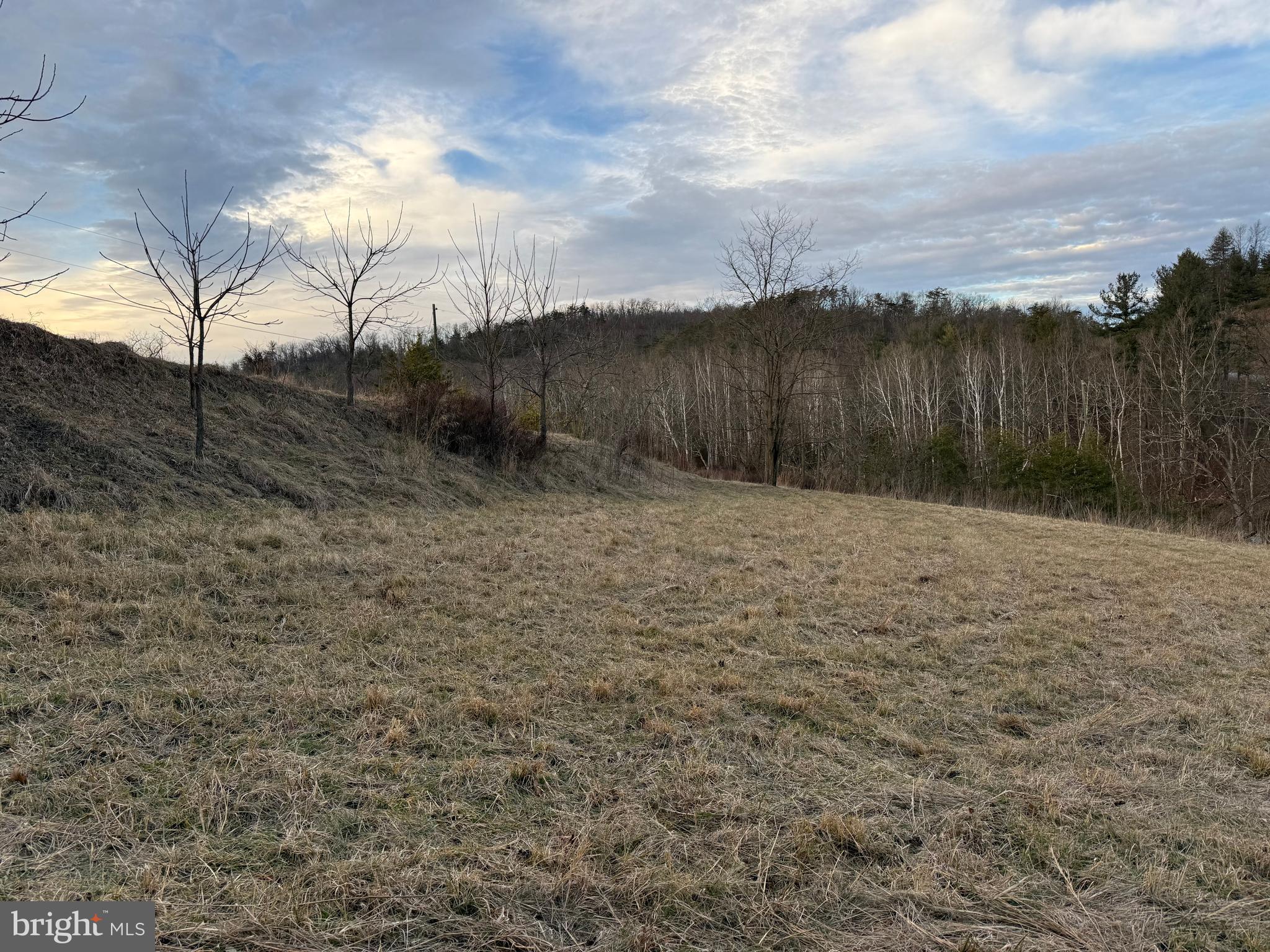 Quivey's Lookout Point Romney, WV 26757 - Photo 26 of 40 a view of backyard with wooden fence