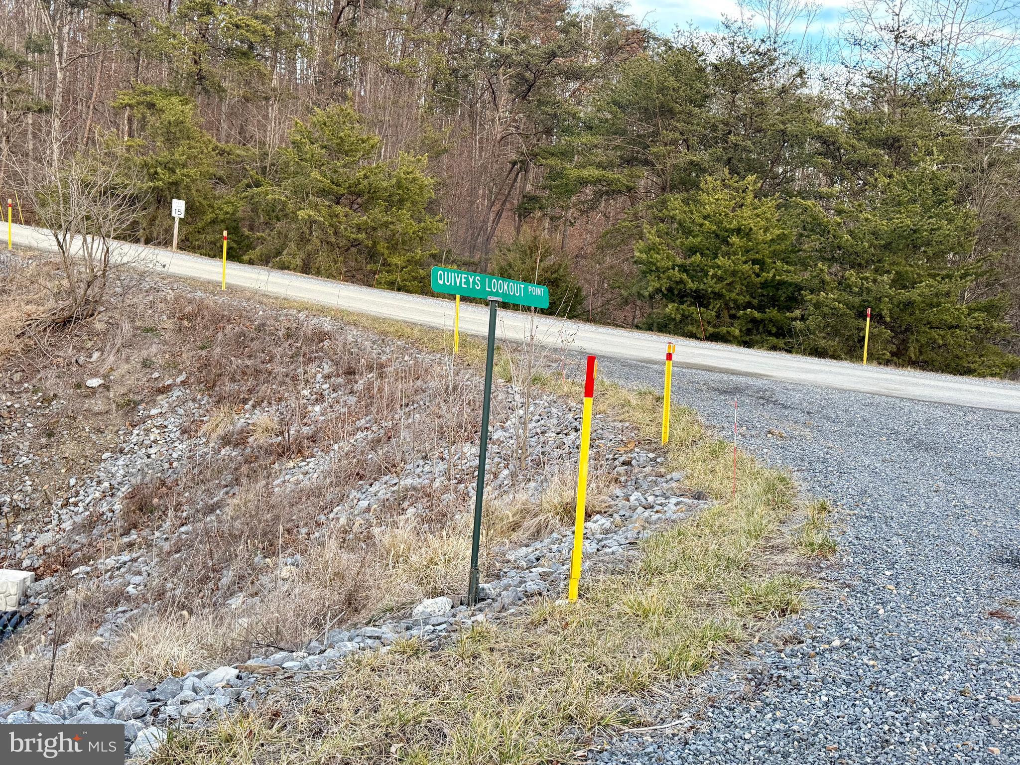 Quivey's Lookout Point Romney, WV 26757 - Photo 29 of 40 a view of a road with an outdoor space