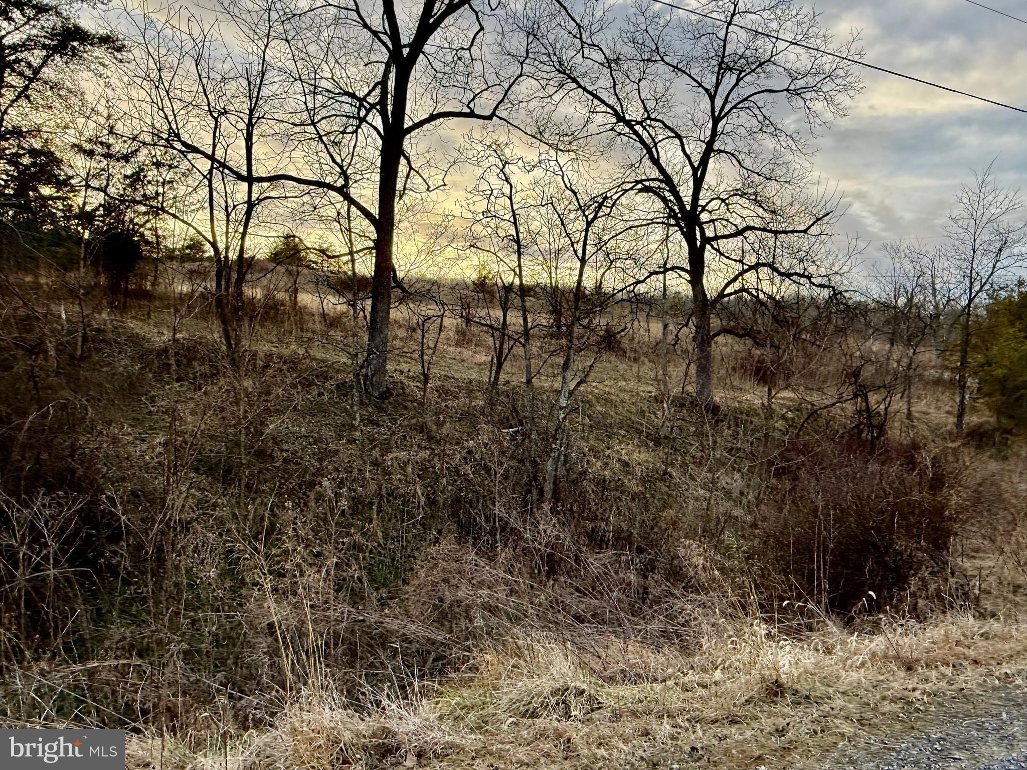 Quivey's Lookout Point Romney, WV 26757 - Photo 32 of 40 a backyard of a house with lots of green space