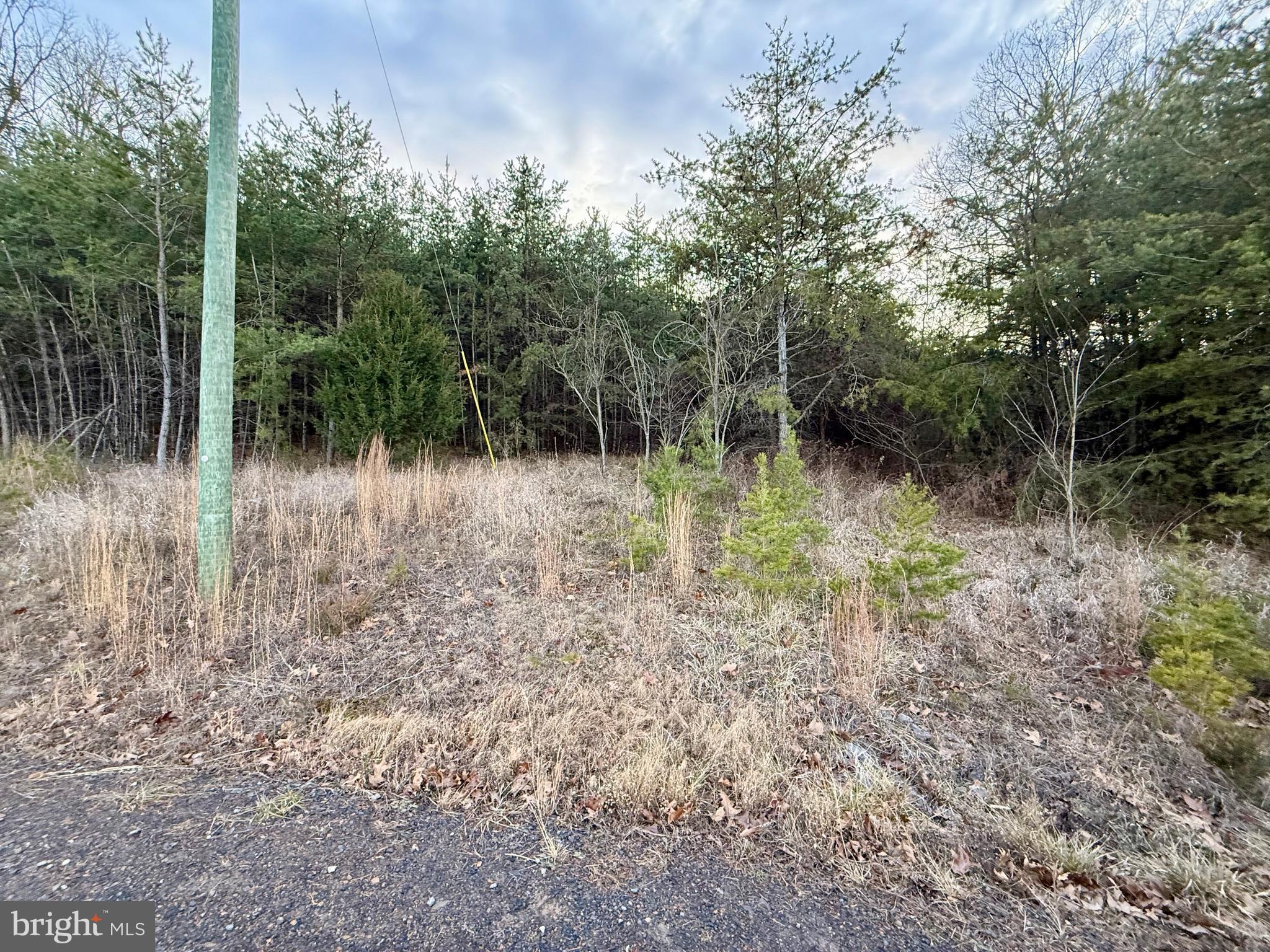 Quivey's Lookout Point Romney, WV 26757 - Photo 33 of 40 a backyard of a house with lots of green space and plants