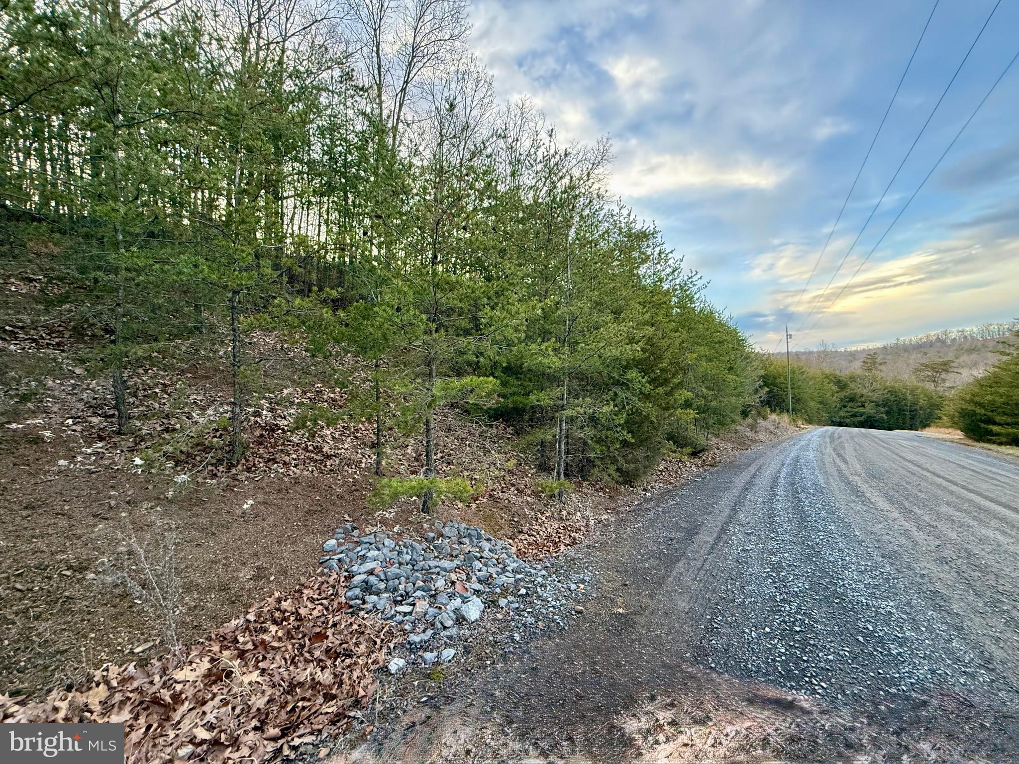 Quivey's Lookout Point Romney, WV 26757 - Photo 34 of 40 a view of outdoor space and trees