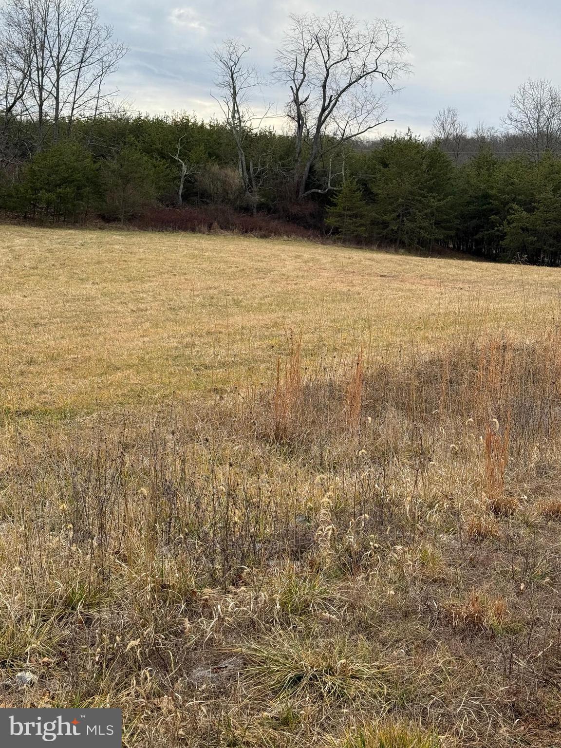 Quivey's Lookout Point Romney, WV 26757 - Photo 35 of 40 a view of lake with mountain