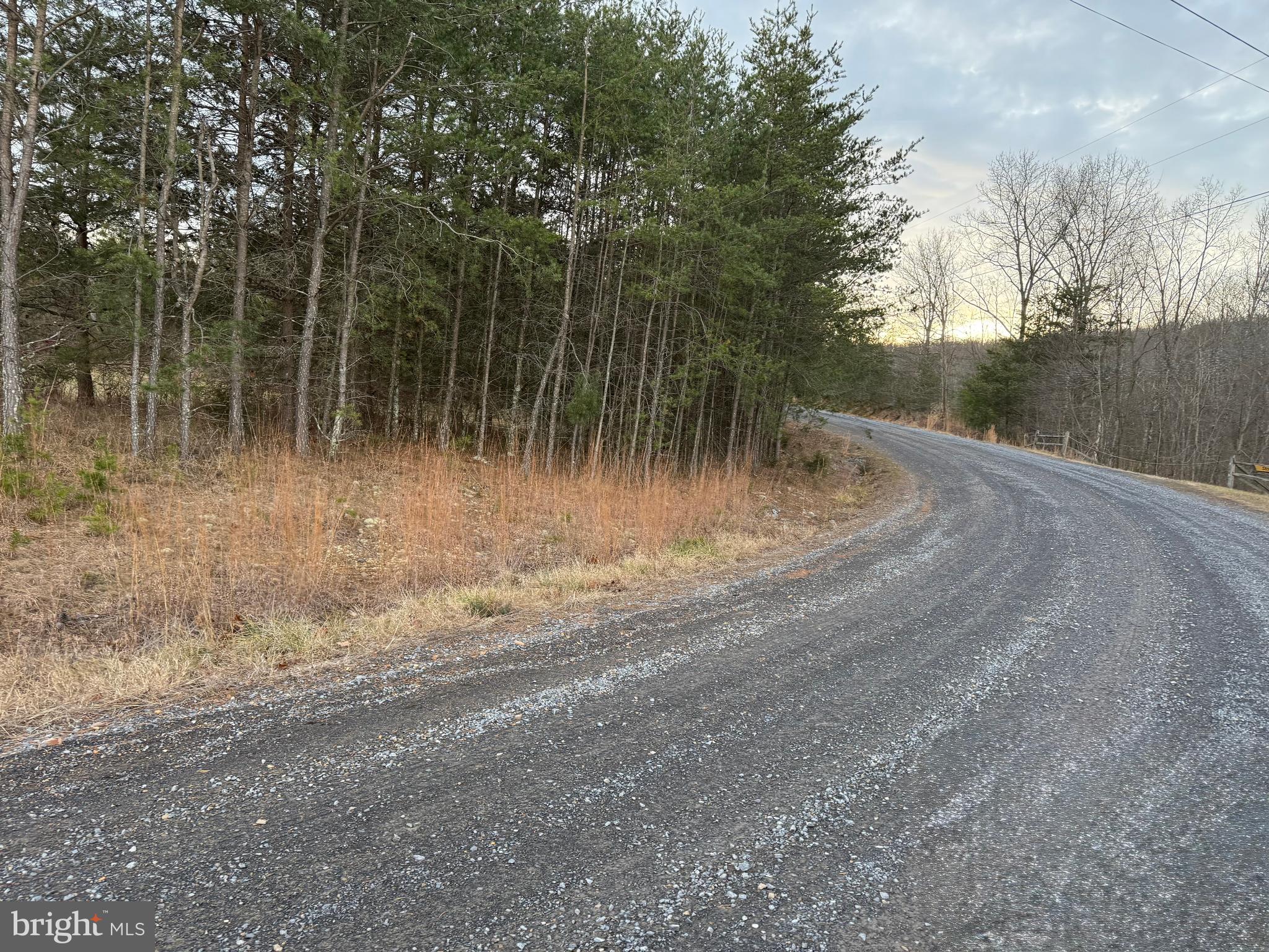 Quivey's Lookout Point Romney, WV 26757 - Photo 36 of 40 a view of a backyard