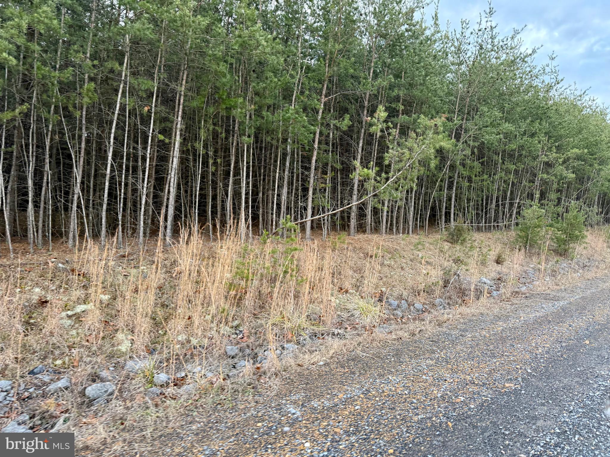 Quivey's Lookout Point Romney, WV 26757 - Photo 37 of 40 a backyard of a house with lots of green space and trees