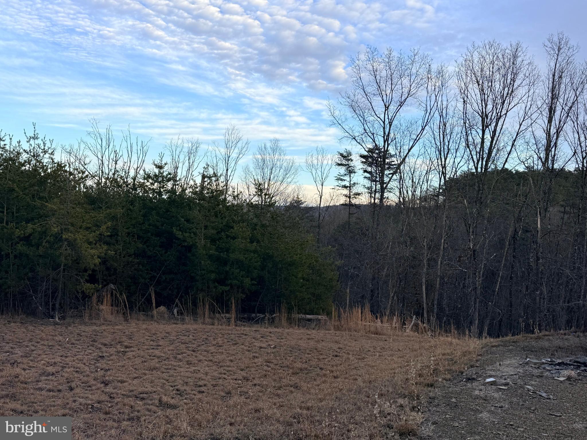Quivey's Lookout Point Romney, WV 26757 - Photo 39 of 40 a view of a yard with trees