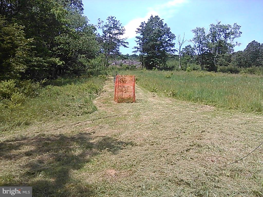 Quivey's Lookout Point Romney, WV 26757 - Photo 4 of 40 a view of a field with trees in the background