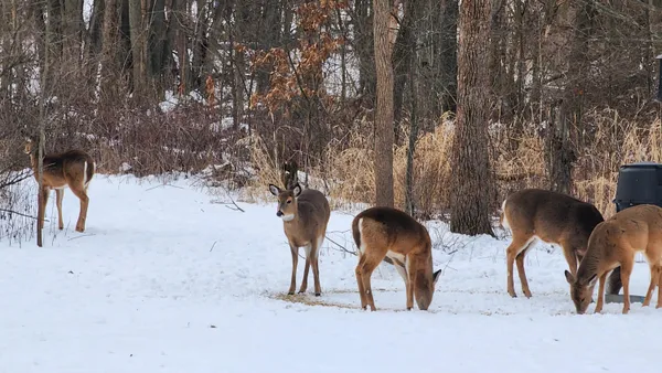 $899,000 | 6205 West 177th Avenue, Lowell, IN 46356