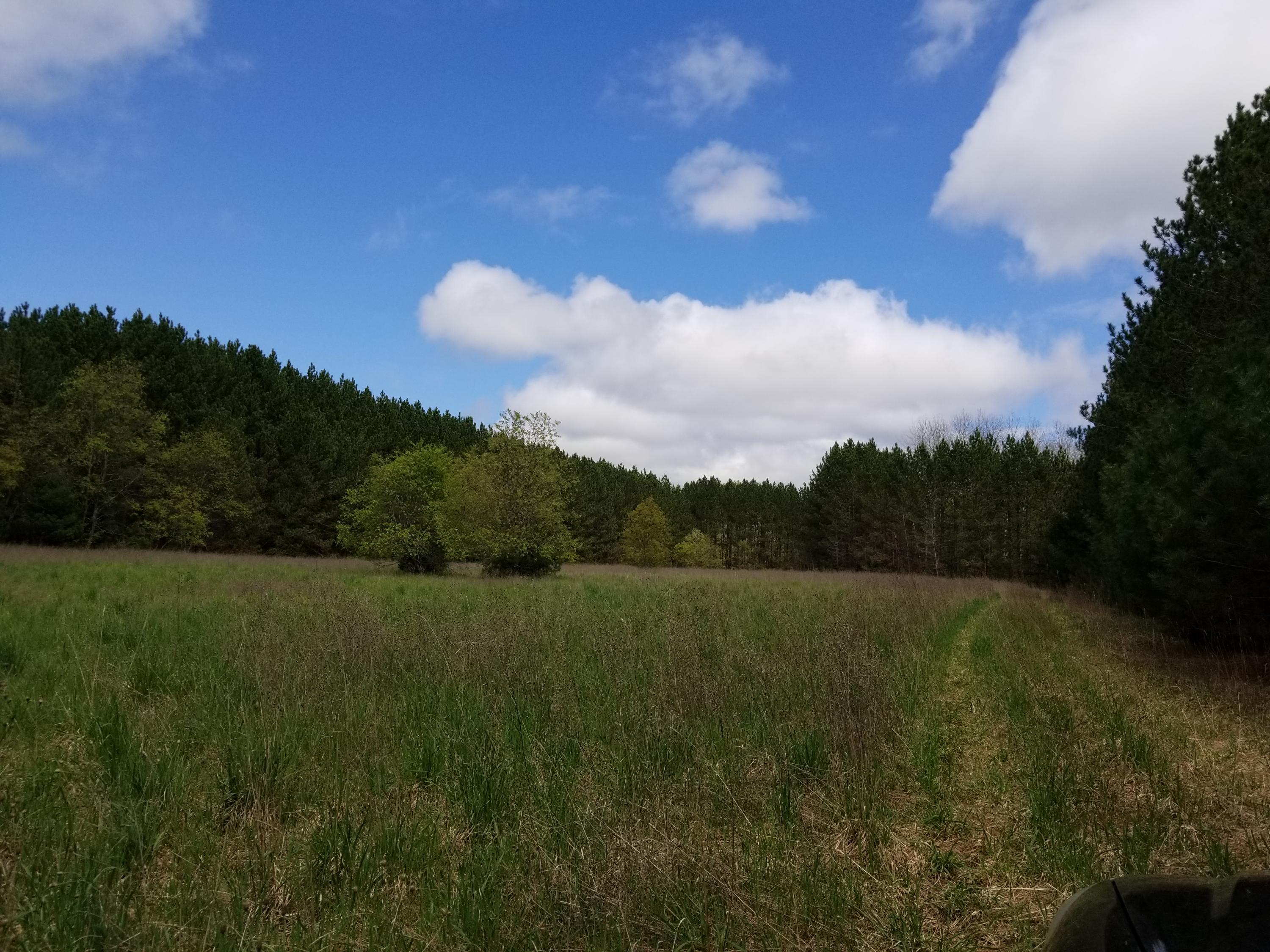 Galbraith Road Mio, MI 48647 - Photo 1 of 9 Gallery Image 1