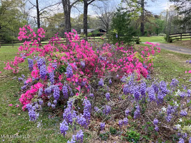 $334,999 | 4201 Oak Hill Drive, Terry, MS 39170