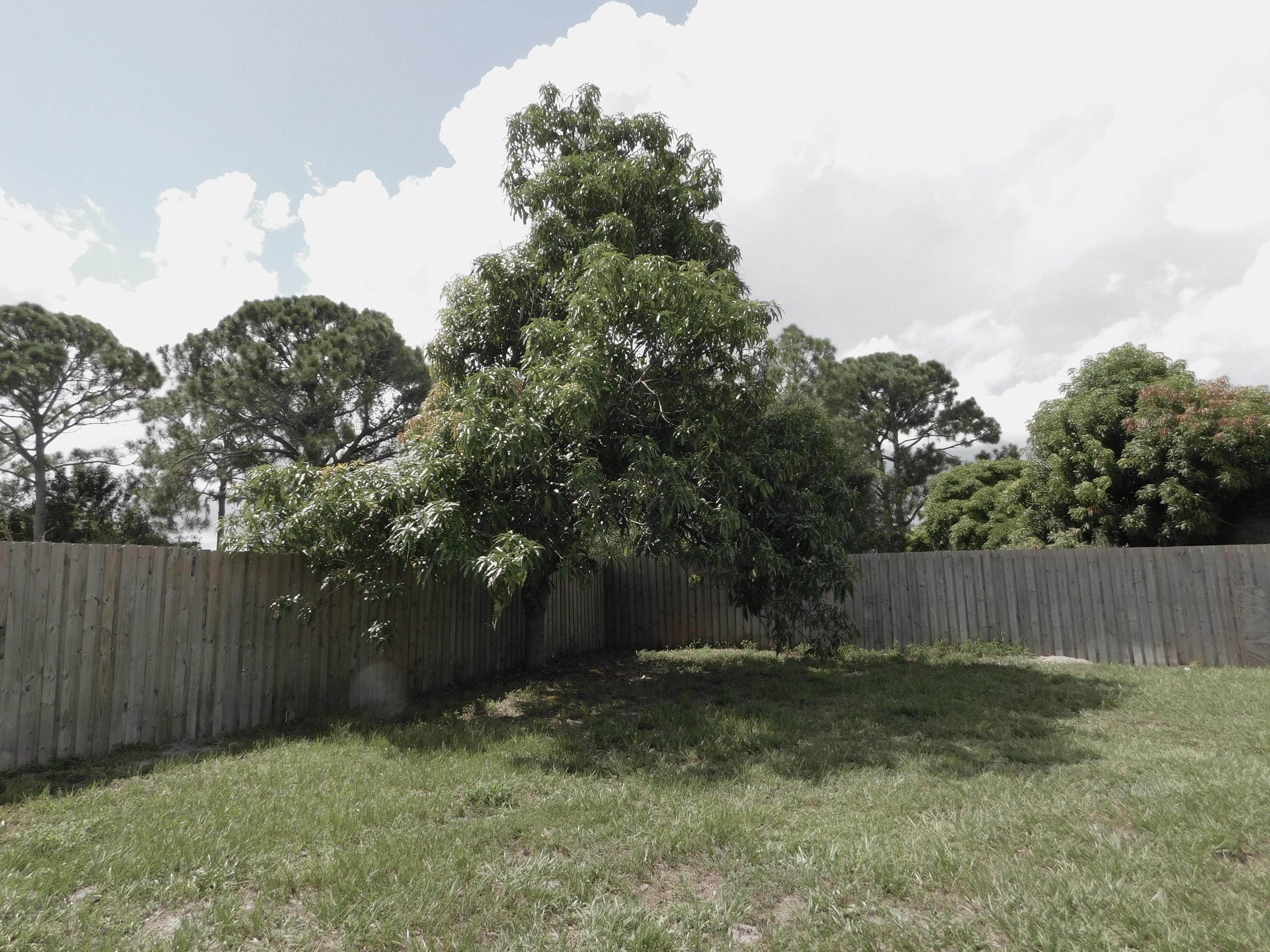 374 Southwest Cherryhill Road Port St. Lucie, FL 34953 - Photo 33 of 34 DSCN3693