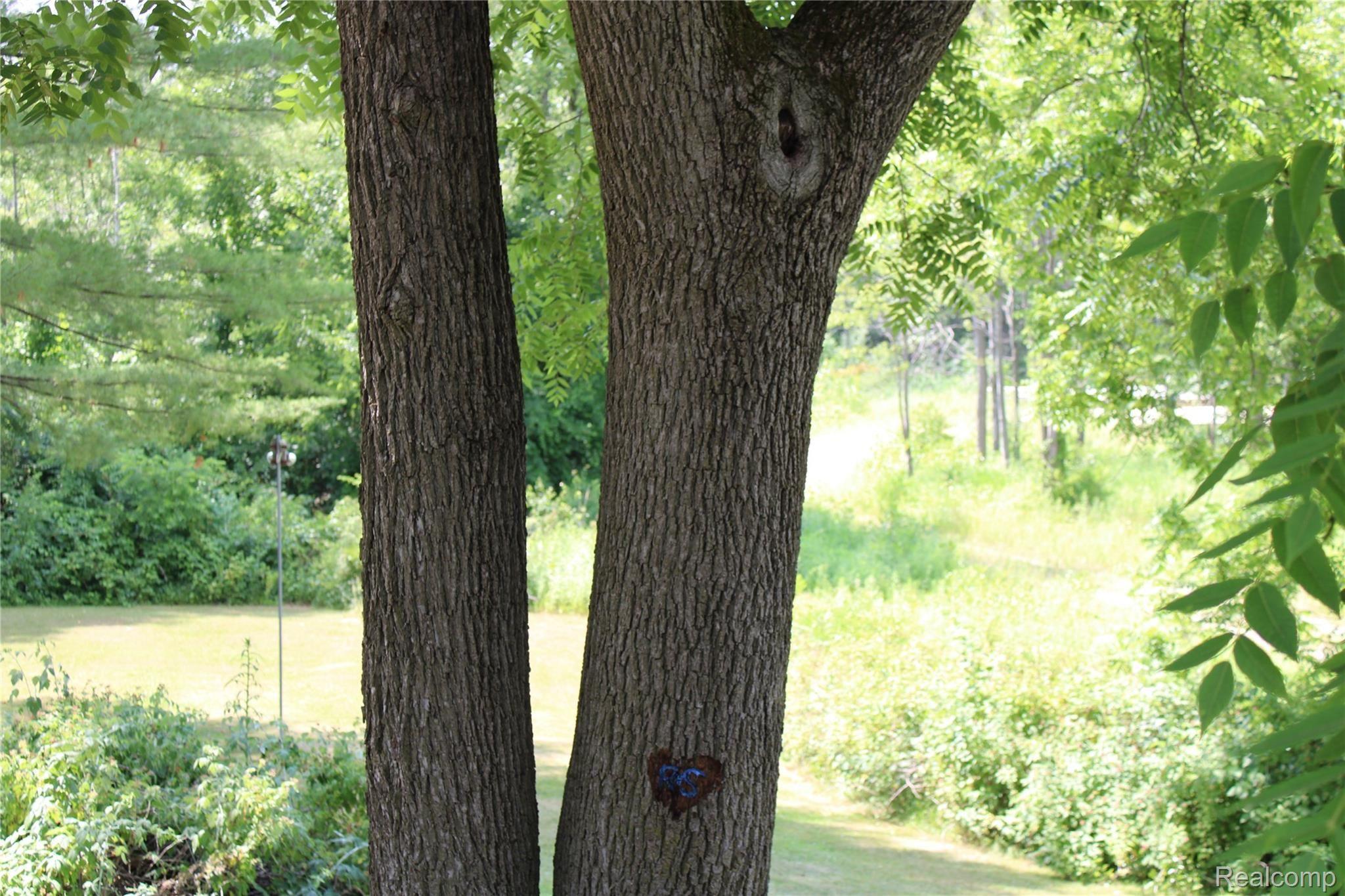 98 South Rochester Road Oakland, MI 48363 - Photo 26 of 32 IMG_0055.JPG