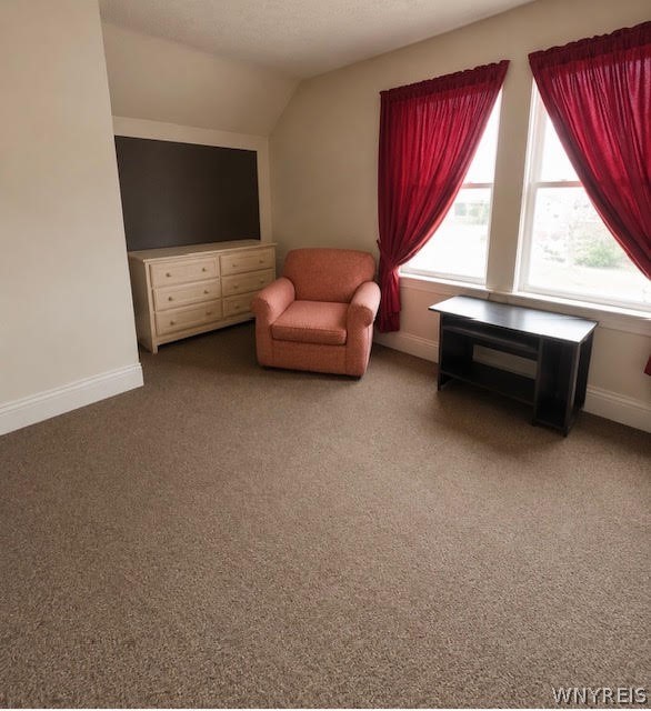 127 14th Street Buffalo, NY 14213 - Photo 13 of 24 Upper Living