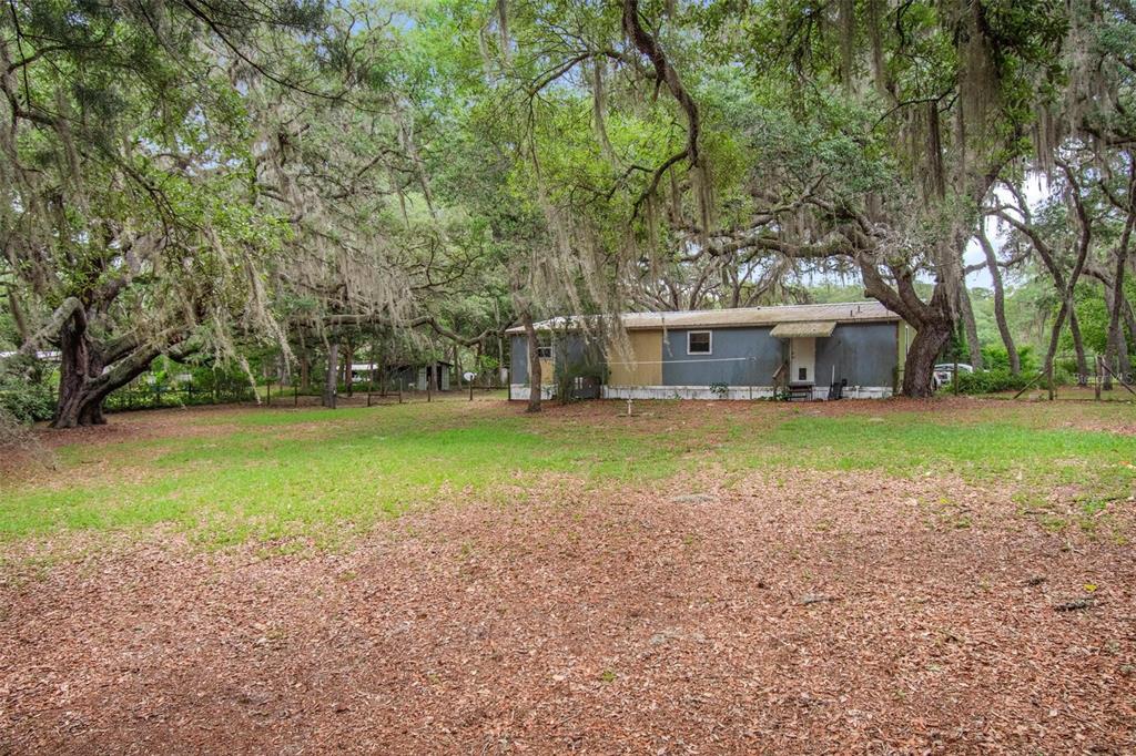 156 Kingfish Road Pomona Park, FL 32181 - Photo 45 of 55 a view of a house with a big yard and large trees