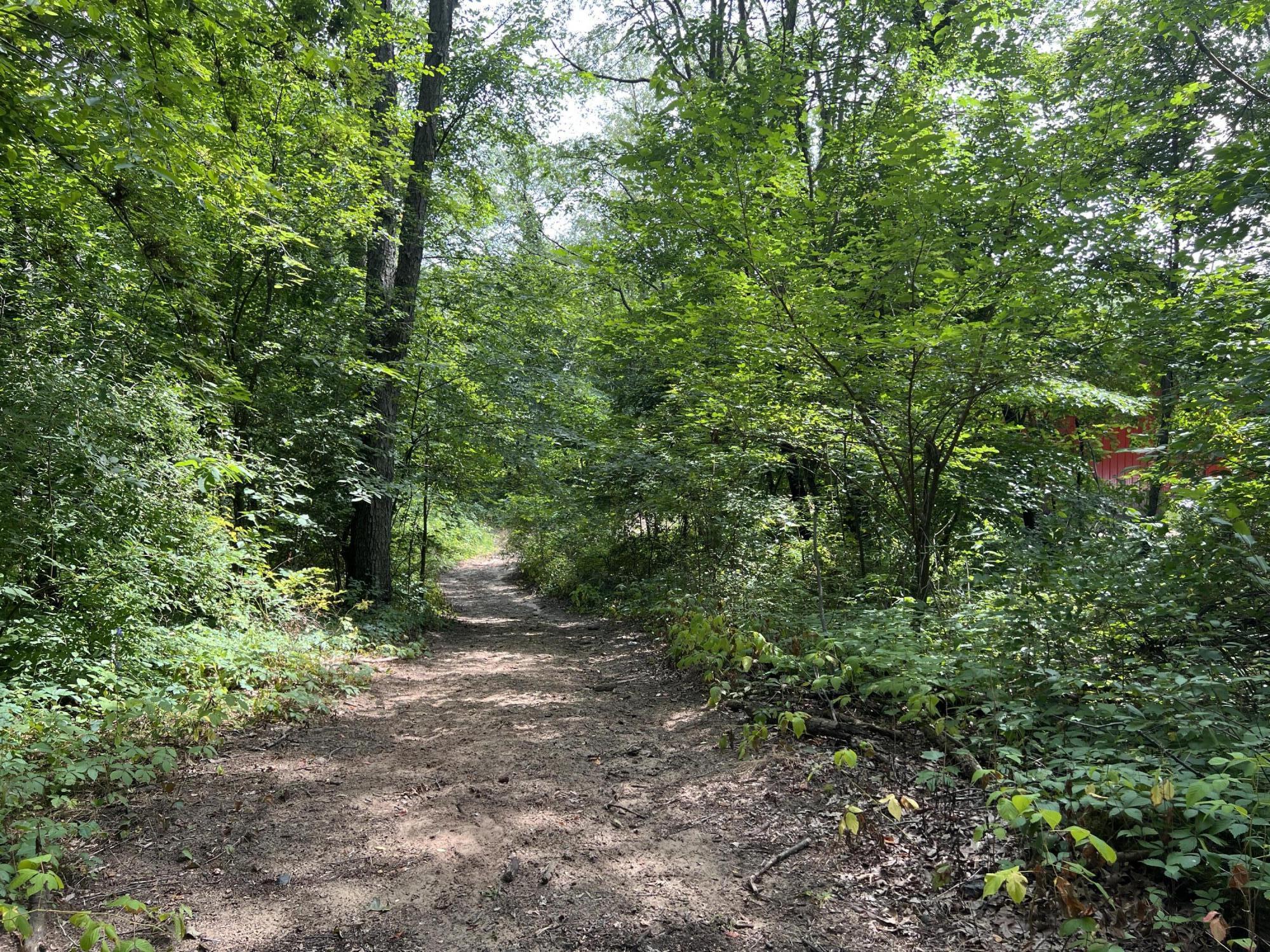9620 Crawford Road Reading, MI 49274 - Photo 12 of 19 2BE2E3AF-40AF-423E-B447-11787DC77EC3