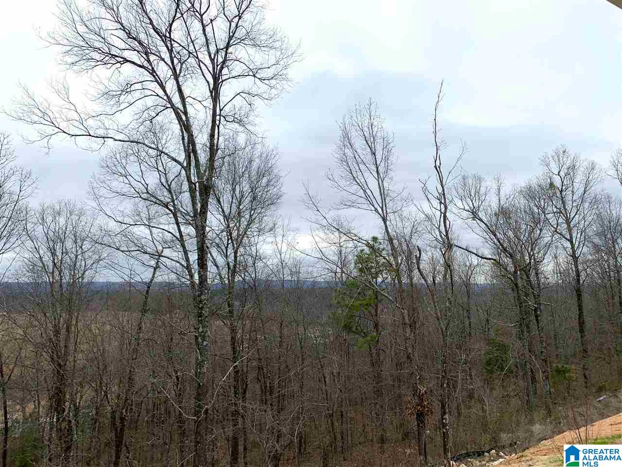 1085 Camellia Ridge Drive Pelham, AL 35124 - Photo 39 of 48