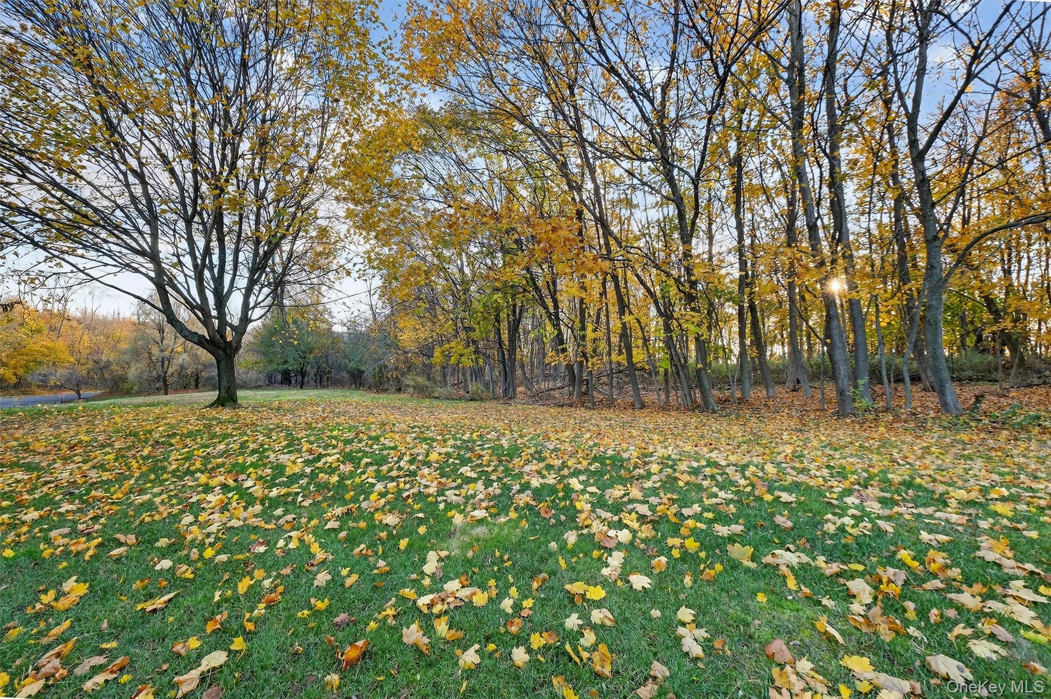 2 Deer Crossing Drive Fishkill, NY 12524 - Photo 44 of 49 a view of outdoor space with deck and trees