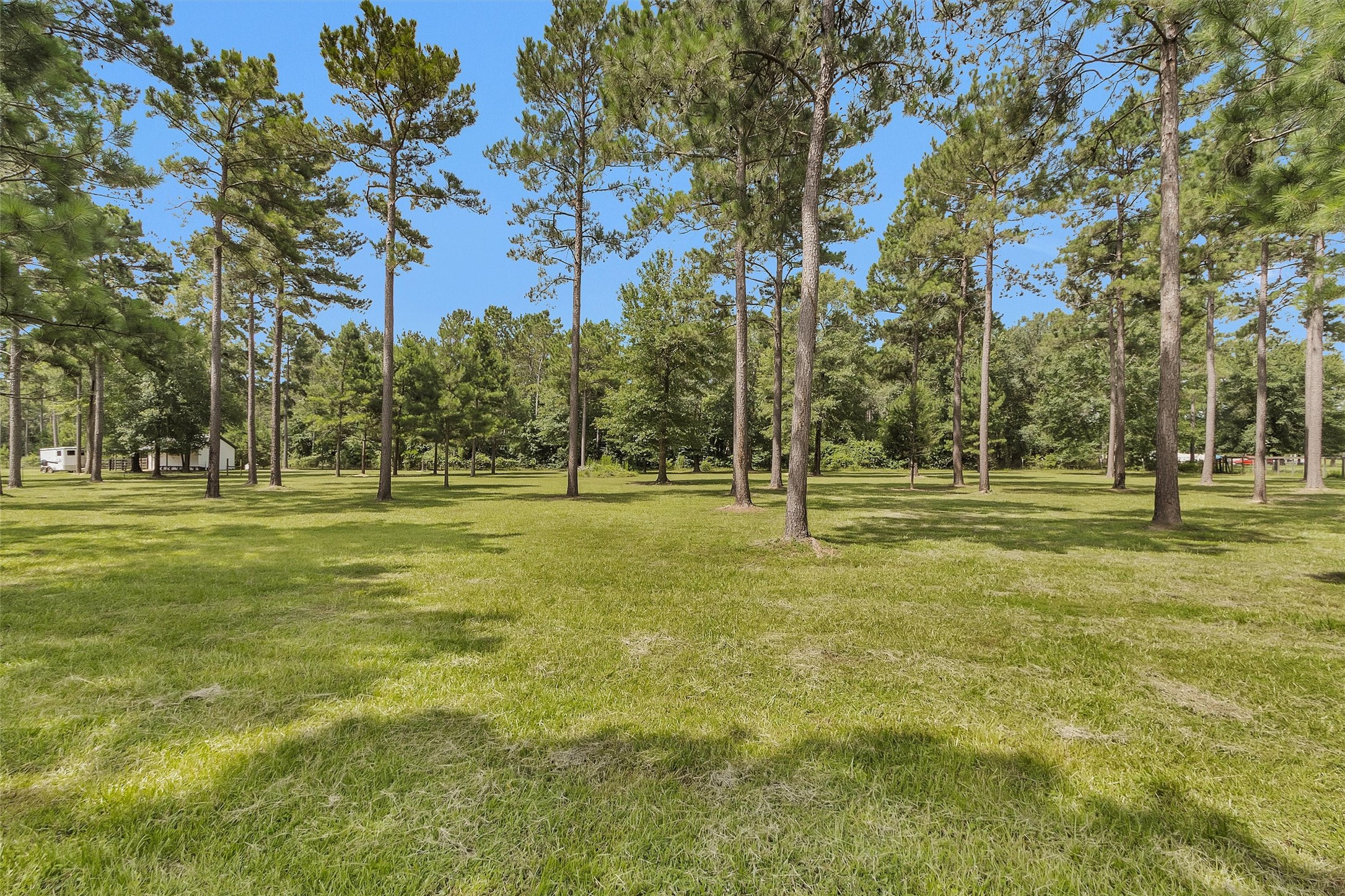 9321 North Walker Road Cleveland, TX 77328 - Photo 42 of 49
