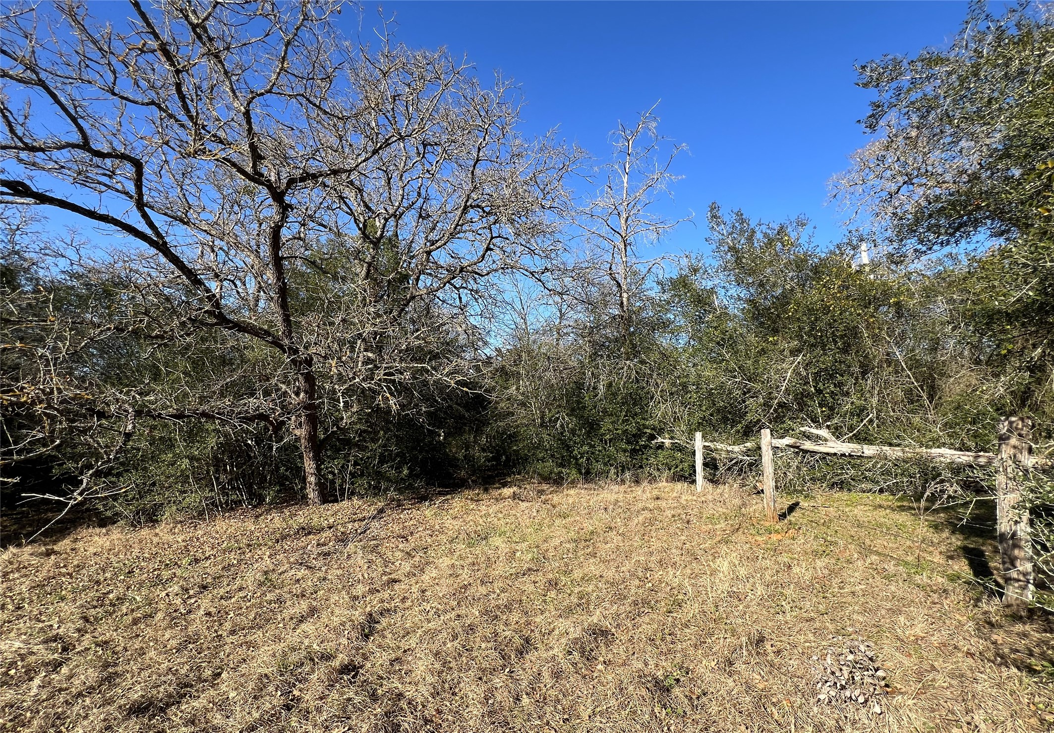 Tbd Rosanky Cattle Company Road Smithville, TX 78957 - Photo 36 of 40 a view of outdoor space with seating