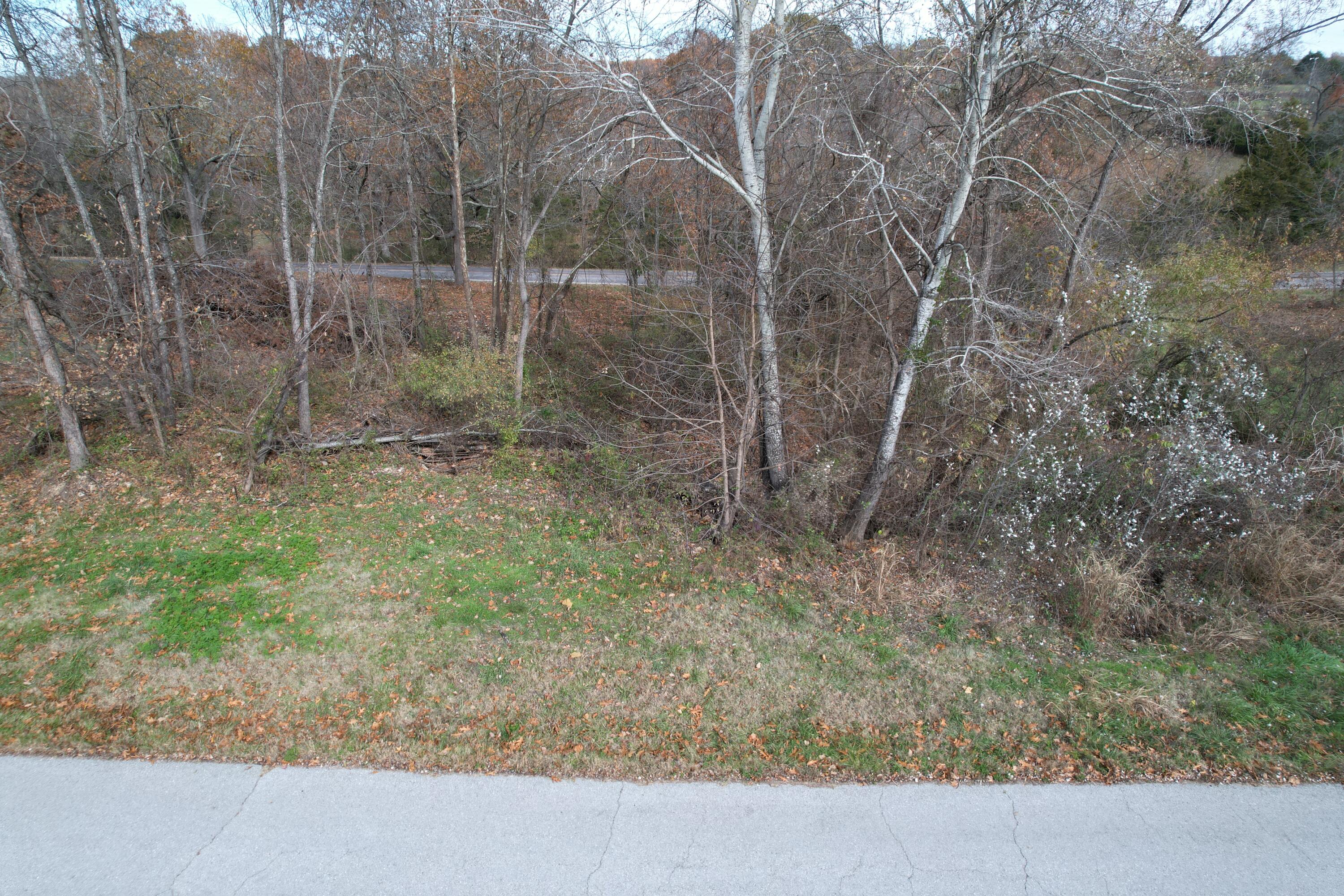 11 Rodeo Lane Ava, MO 65608 - Photo 1 of 1 1