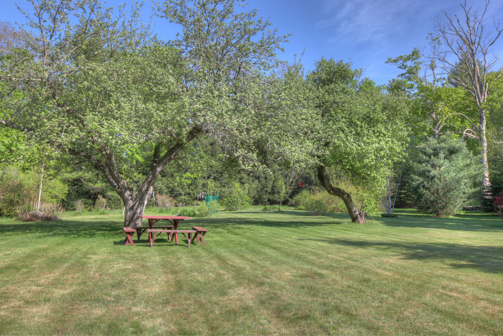 34 Sandisfield Road Sandisfield, MA 01255 - Photo 22 of 25 a view of a park with large trees
