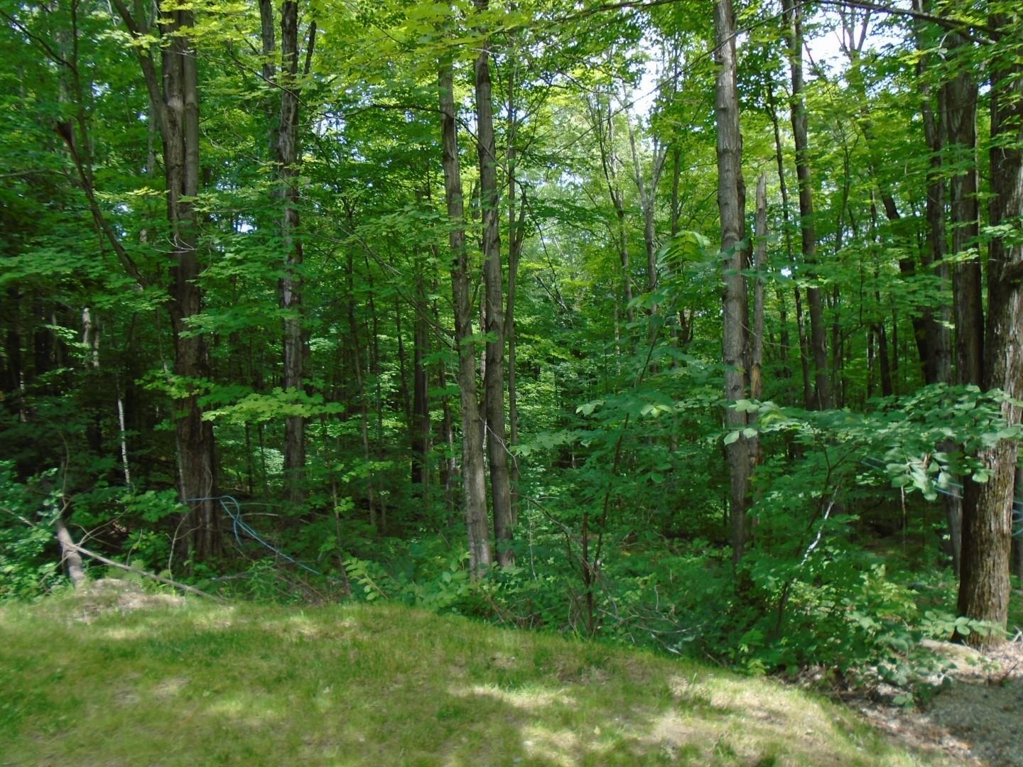 65 Duffy Hill Road Westford, VT 05489 - Photo 5 of 16 Gallery Image 5