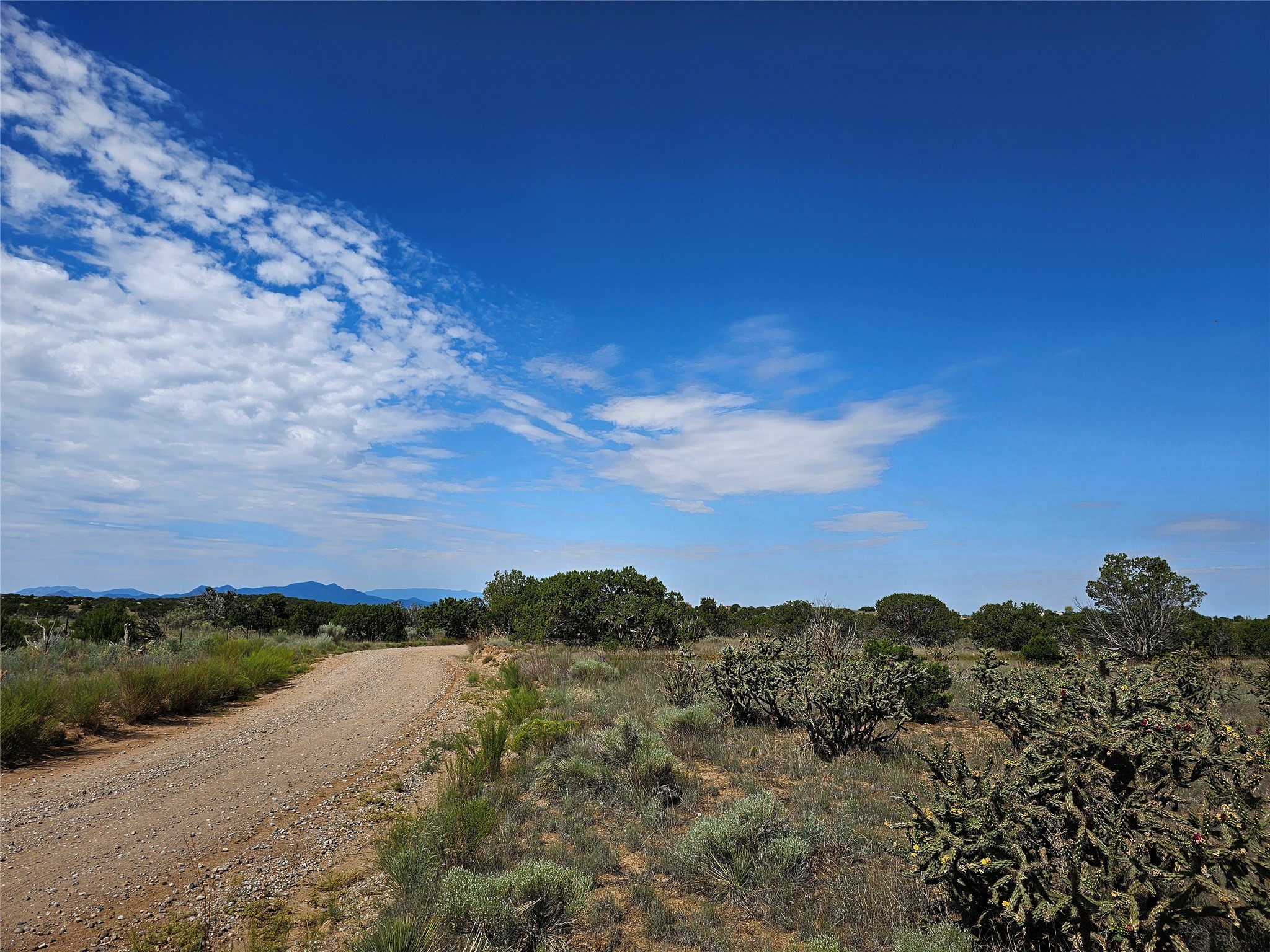 251 Spur Ranch Road Lamy, NM 87540 - Photo 3 of 4