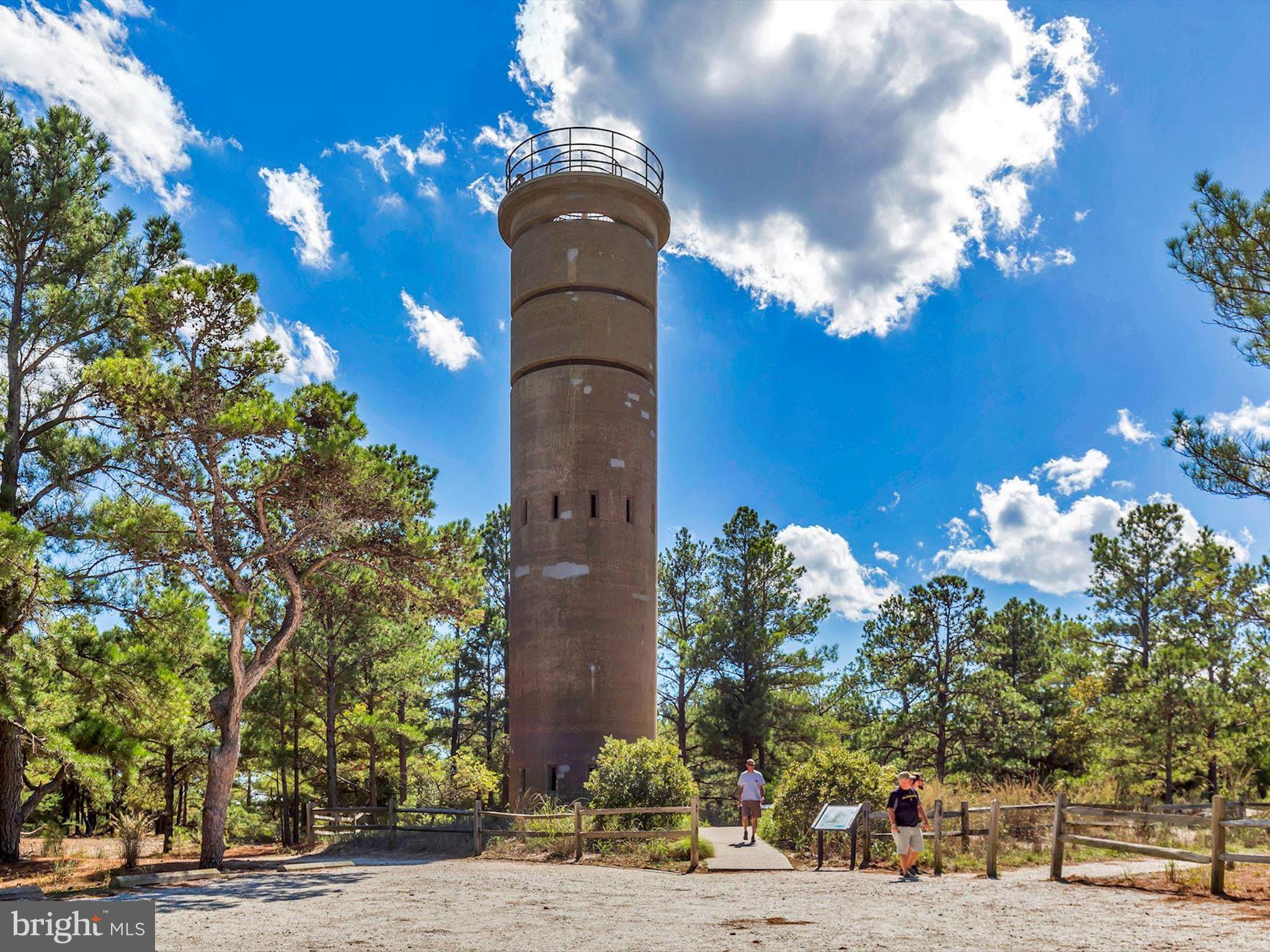 21650 Eastbridge Loop Lewes, DE 19958 - Photo 101 of 106 Lewes Photo