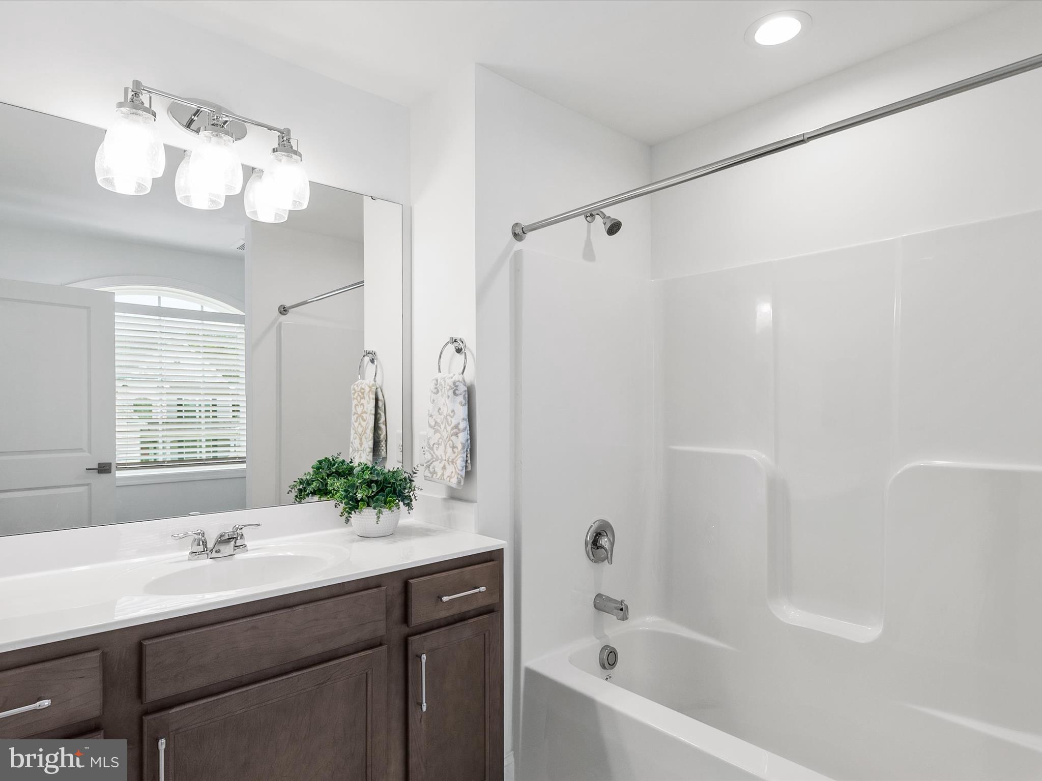21650 Eastbridge Loop Lewes, DE 19958 - Photo 38 of 106 a bathroom with a bathtub a sink and a large mirror