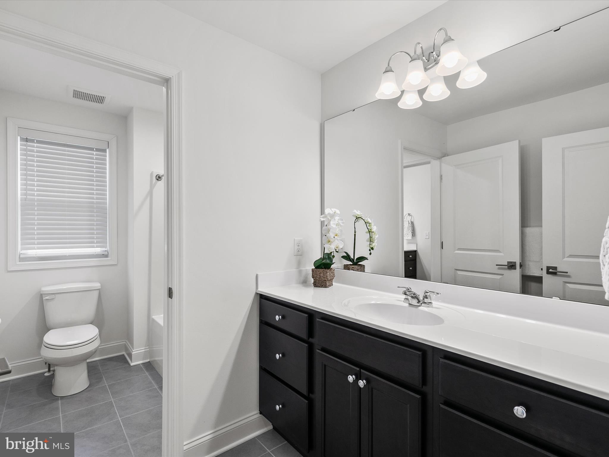 21650 Eastbridge Loop Lewes, DE 19958 - Photo 39 of 106 a bathroom with a sink a toilet and a mirror