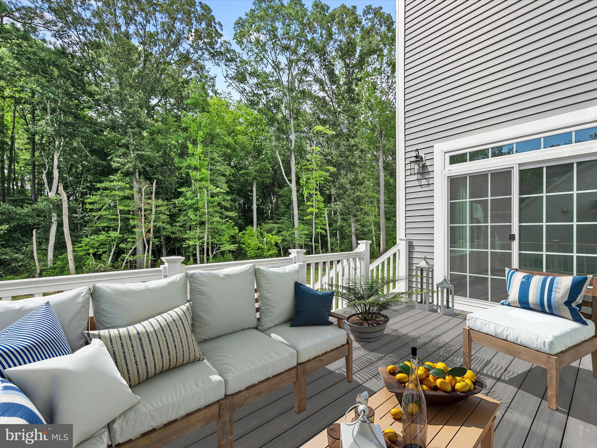 21650 Eastbridge Loop Lewes, DE 19958 - Photo 6 of 106 Virtually Staged Deck